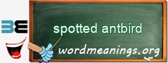 WordMeaning blackboard for spotted antbird